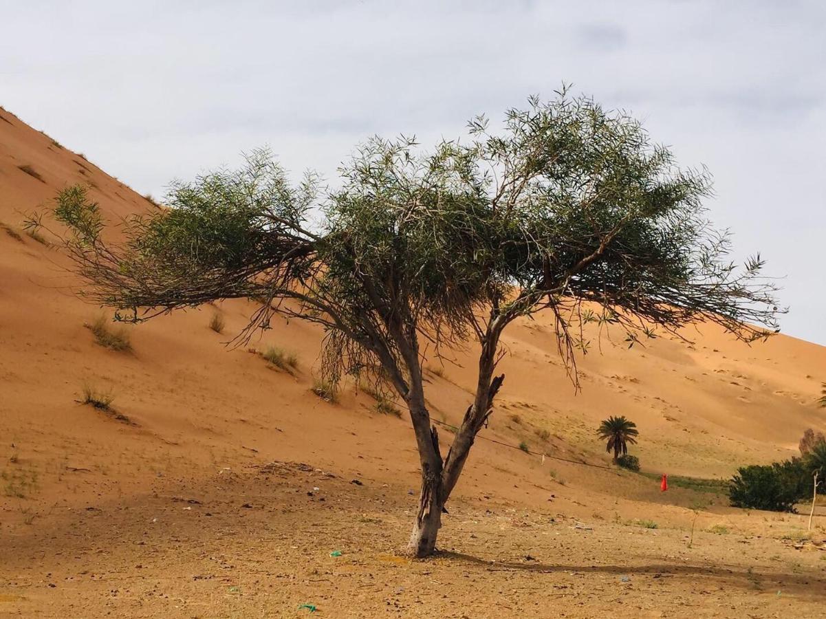 Camel Trekking Camp Мерзуга Экстерьер фото
